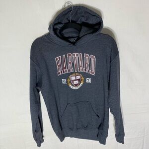 Gildan Heavy Blend Gray Harvard Hoodie S